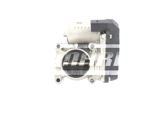 Throttle Body (LTB069)