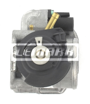 Throttle Body (LTB001)