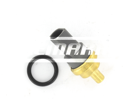 Sensor, fuel temperature (LWS053)