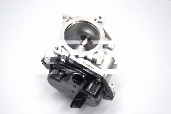 EGR Valve (LEGR366)