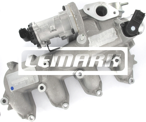 EGR Valve (LEGR234)
