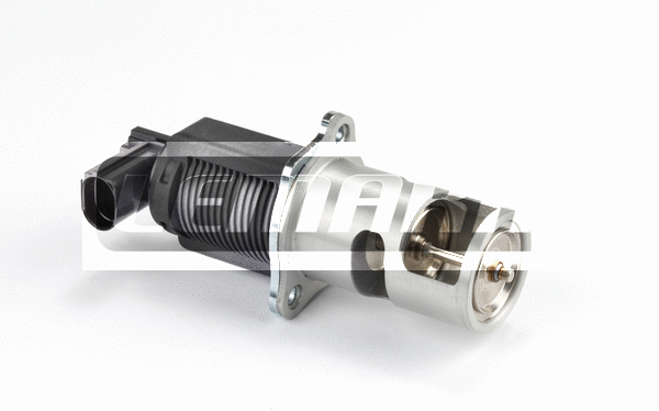 EGR Valve (LEGR025)