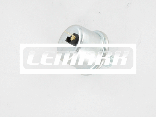 Sensor, engine oil level
