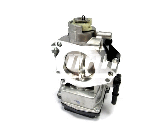 Throttle Body (LTB066)