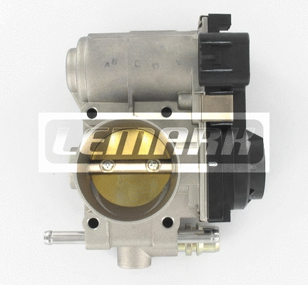 Throttle Body (LTB197)
