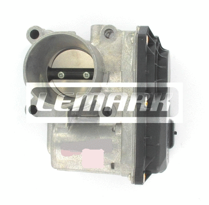 Throttle Body (LTB193)
