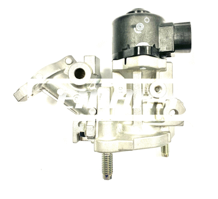 EGR Valve (LEGR382)