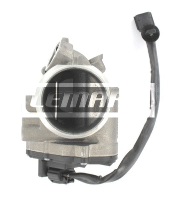 EGR Valve (LEGR118)