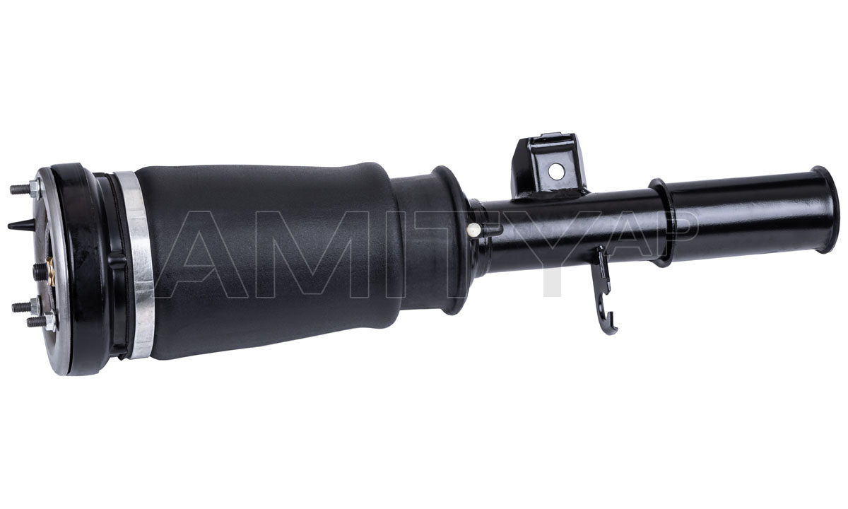 Air Suspension Strut (10-AS-0002)