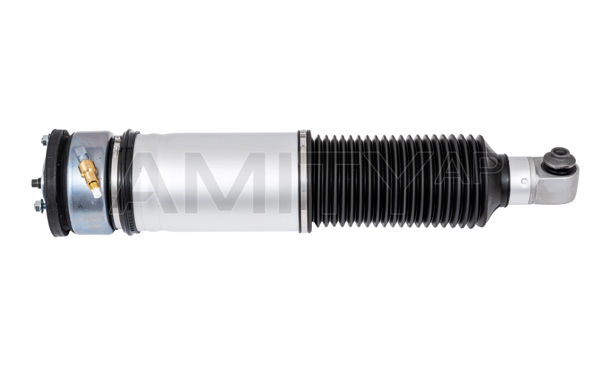 Air Suspension Strut (10-AS-0032)