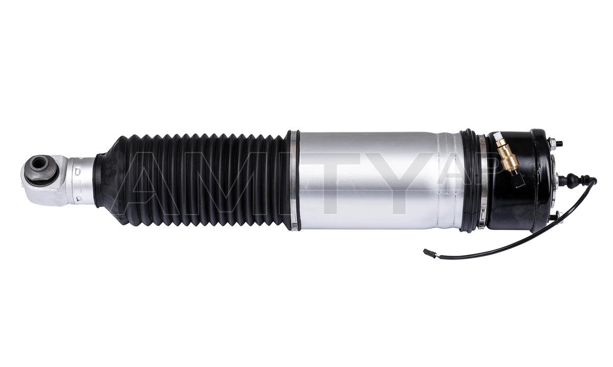 Air Suspension Strut (10-AS-0021)