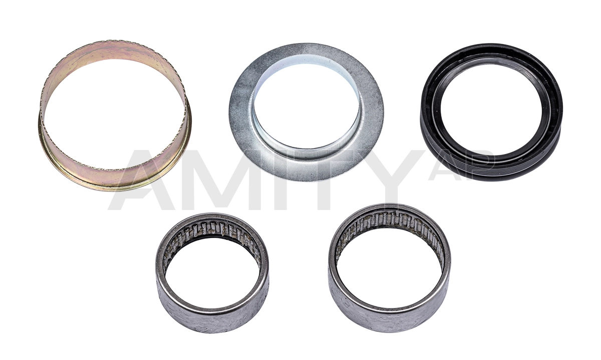 Bearing Set, axle beam (42-AX-0110)