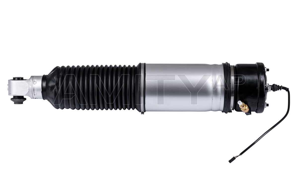Air Suspension Strut (10-AS-0020)