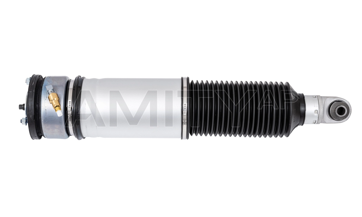 Air Suspension Strut (10-AS-0031)