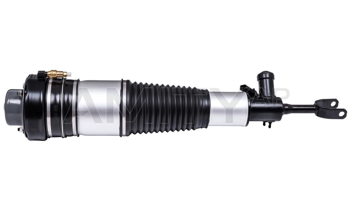 Air Suspension Strut