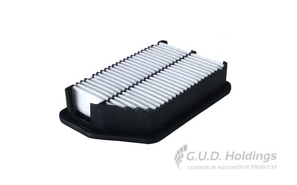 Air Filter (AG1520)