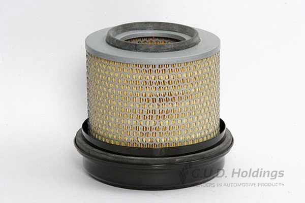 Air Filter (ADG829)
