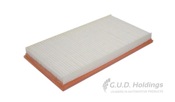 Air Filter (AG1479)