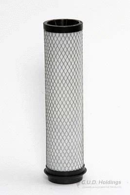 Secondary Air Filter (ADG1216)