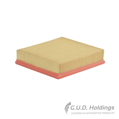 Air Filter (AG1118)