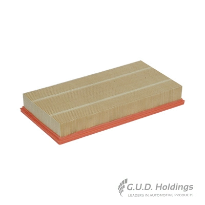 Air Filter (AG1333)