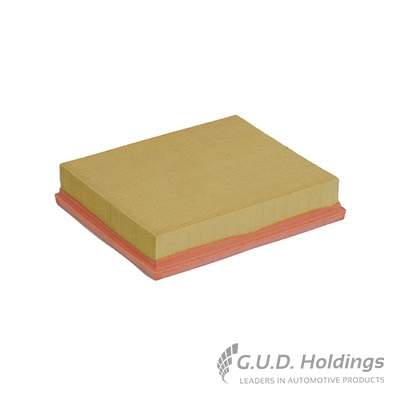 Air Filter (AG1029)