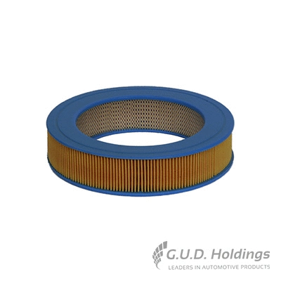 Air Filter (AG330)