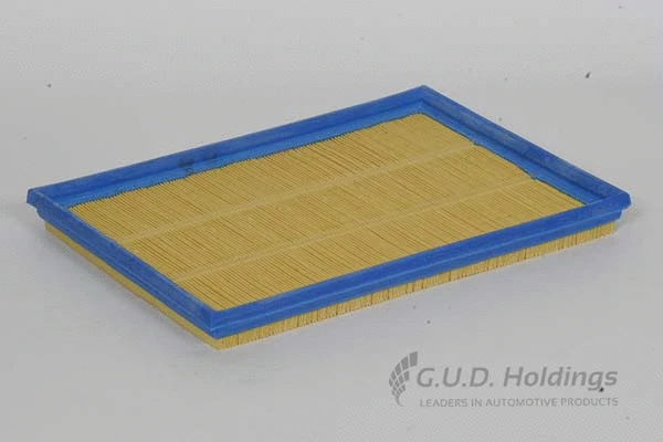 Air Filter (AG845)