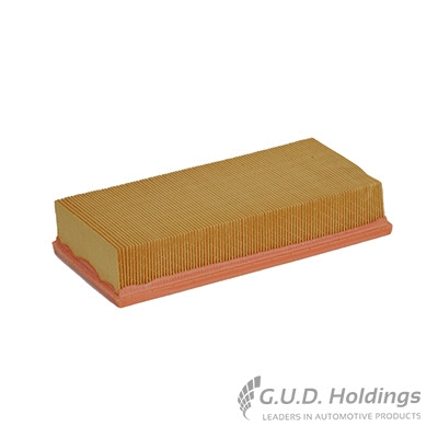 Air Filter (AG1052)