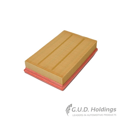 Air Filter (AG1469)
