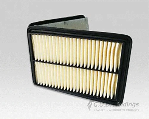 Air Filter (AG1856)