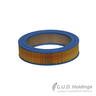 Air Filter (AG156P)