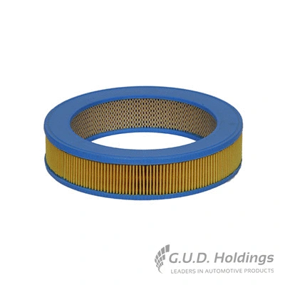 Air Filter (AG420P)