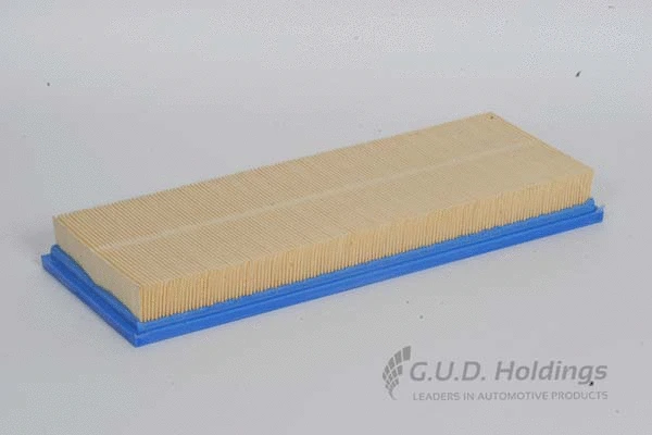 Air Filter (AG921)