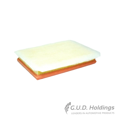 Air Filter (AG1502)