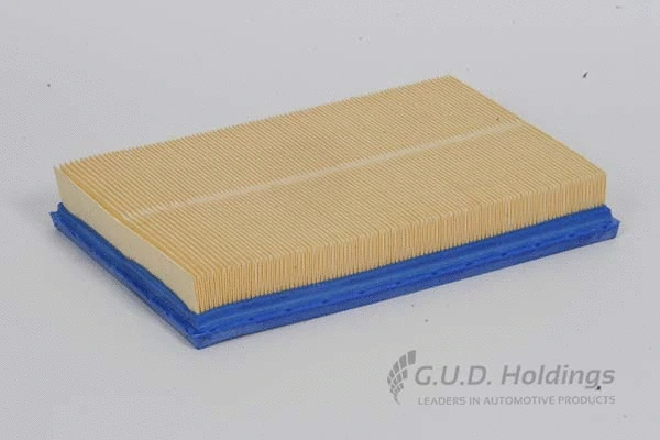 Air Filter (AG1099)