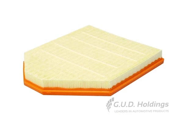 Air Filter (AG1669)