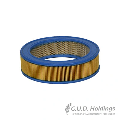 Air Filter (AG349)