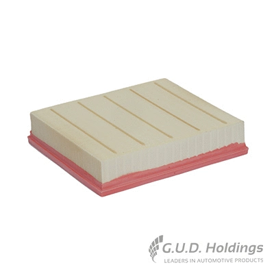 Air Filter (AG1032)