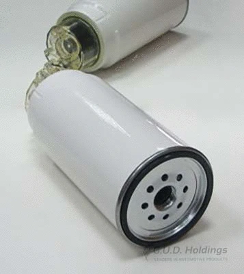 Fuel Filter (Z396)