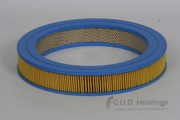 Air Filter (AG738)