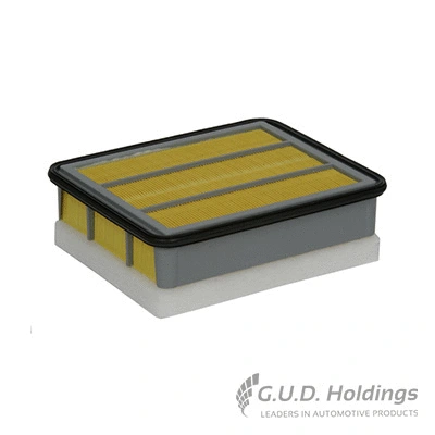 Air Filter (AG1011)