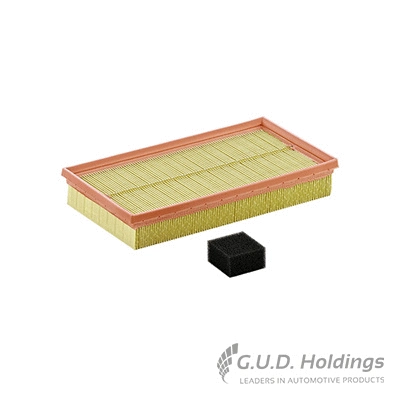 Air Filter (AG1371)