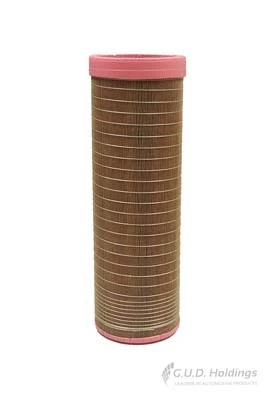 Secondary Air Filter (ADG1727R)