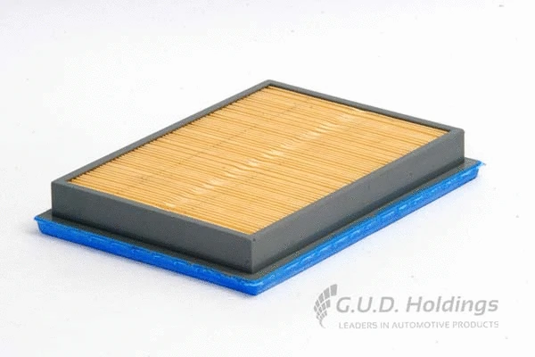 Air Filter (AG929)