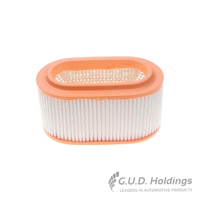 Air Filter (AG1366)