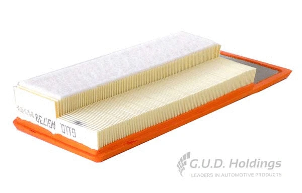 Air Filter (AG1739)