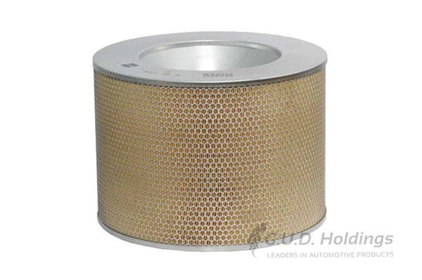 Air Filter (ADG1091)