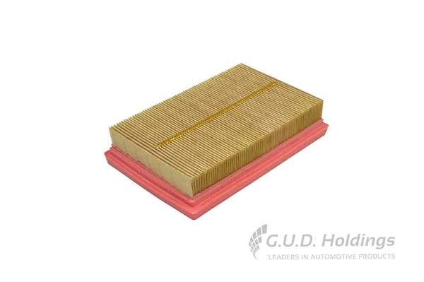 Air Filter (AG1776)