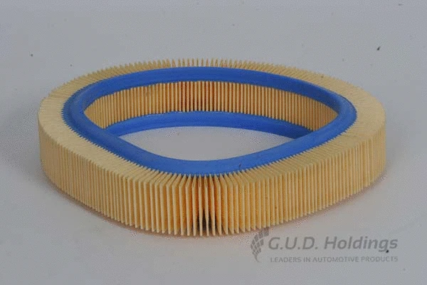 Air Filter (AG636)